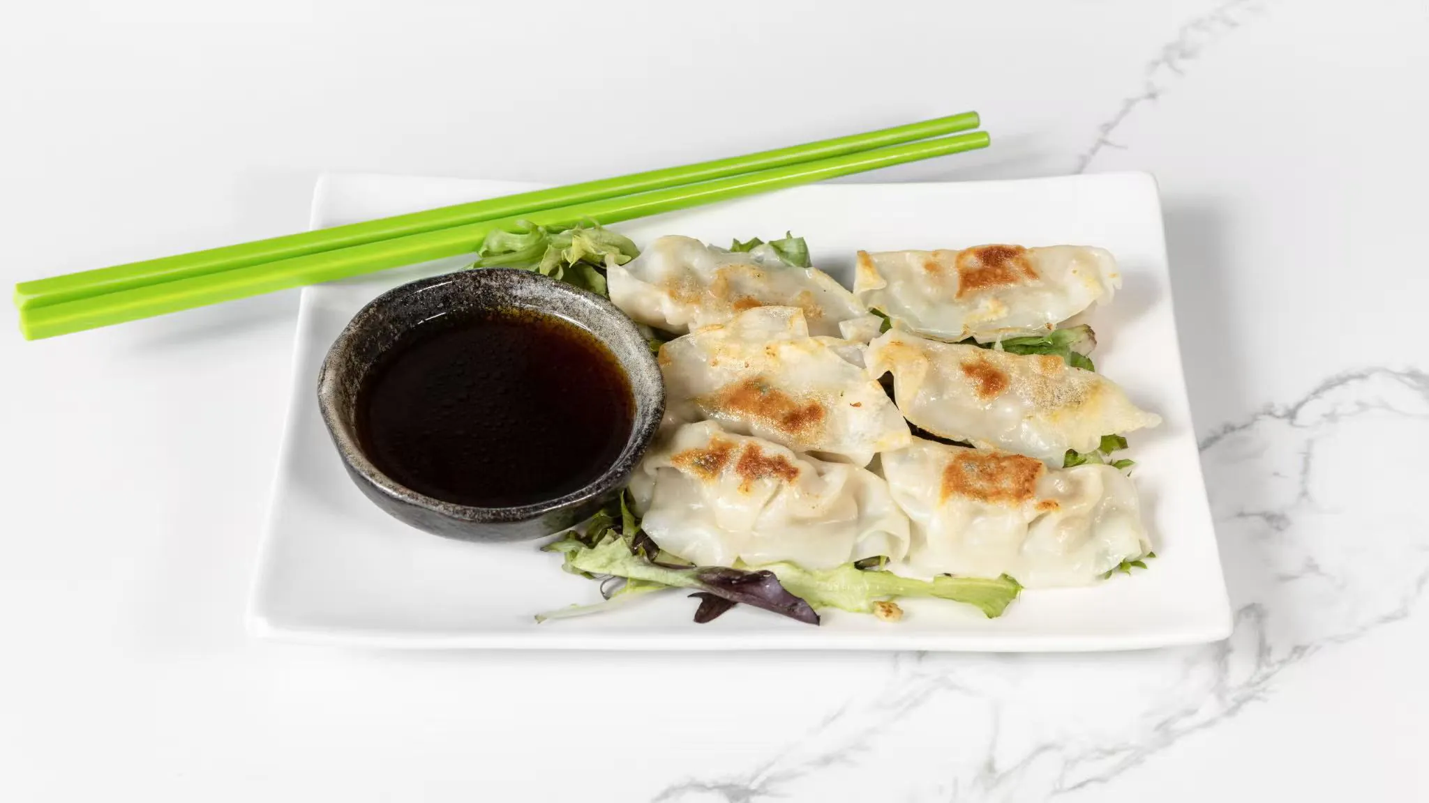 Golden pan-fried dumplings with sauce at Izumi Sushi, a Japanese Restaurant in Littleton